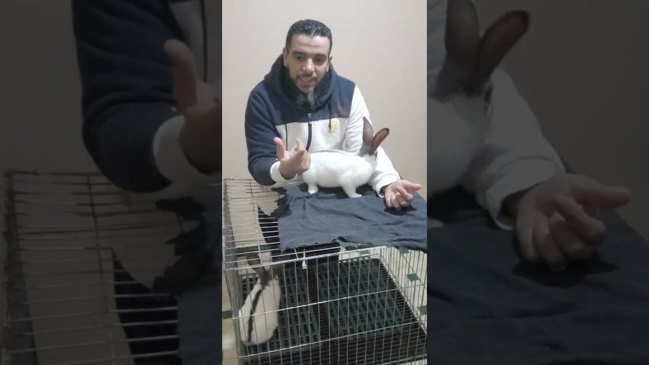 ٤ مارس ٢٠٢٦
