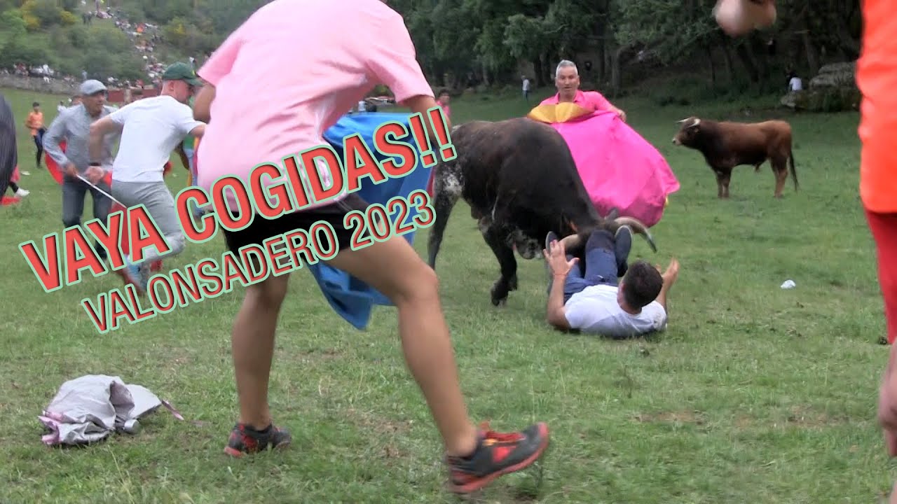 VAYA COGIDAS!! Valonsadero Lavalenguas 2023