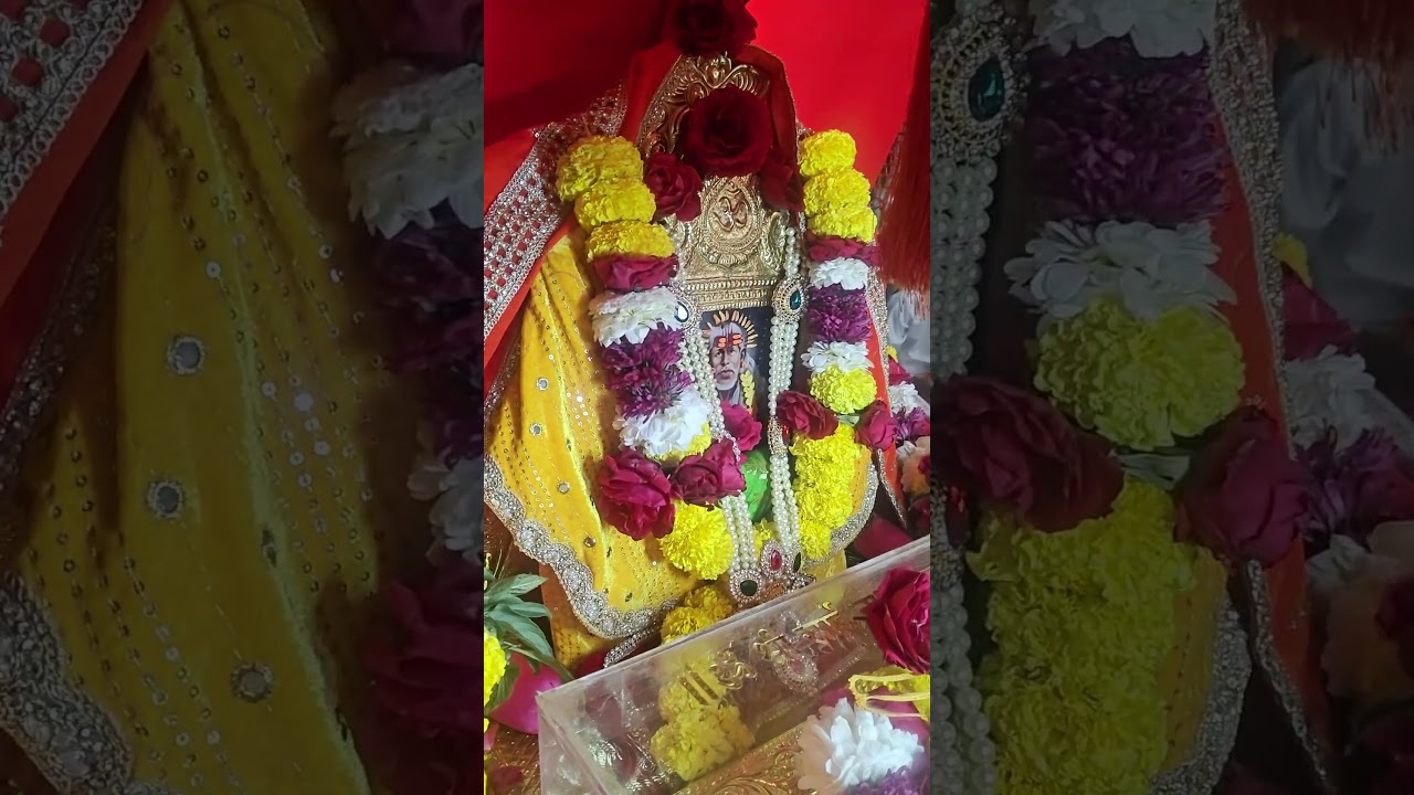 Sai Palkhi status 