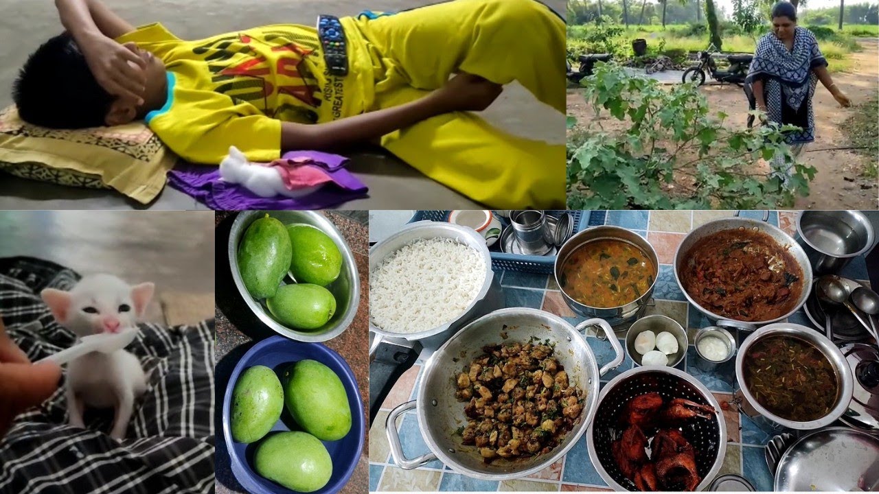 Family Planning பண்ணலாமா வேண்டாமா // மனசுக்கு பிடிச்சவங்களுக்காக சமைக்கும் பொழுது சந்தோஷமா இருக்கு