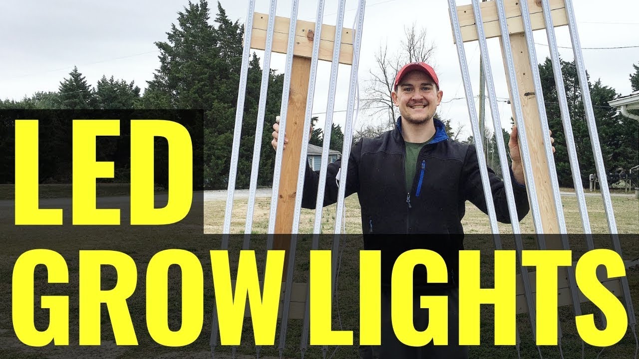 Best and Cheapest LED Grow Light for Starting Seed Indoors for Summer Growing