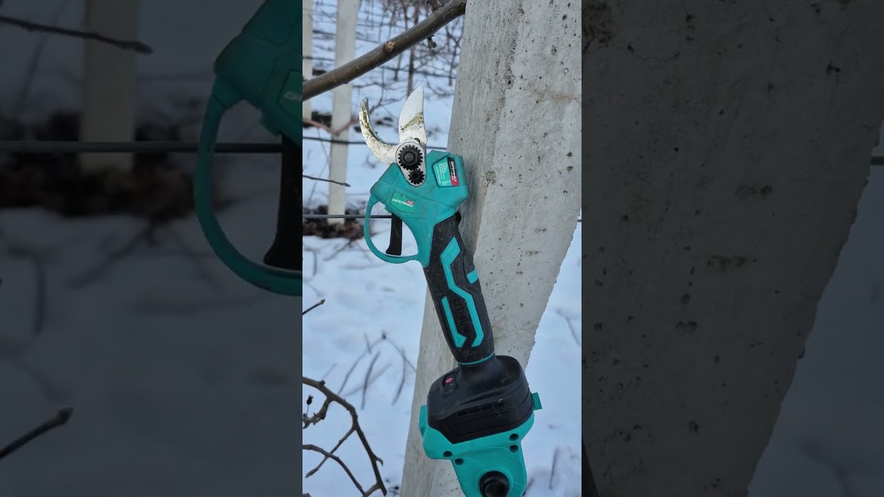 Секатор Grand CA20BL + штанга ТШП-2Н: тест у саду, зручність і реальна робота