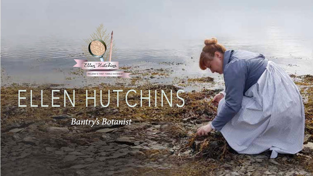 Ellen Hutchins: Bantry's Botanist