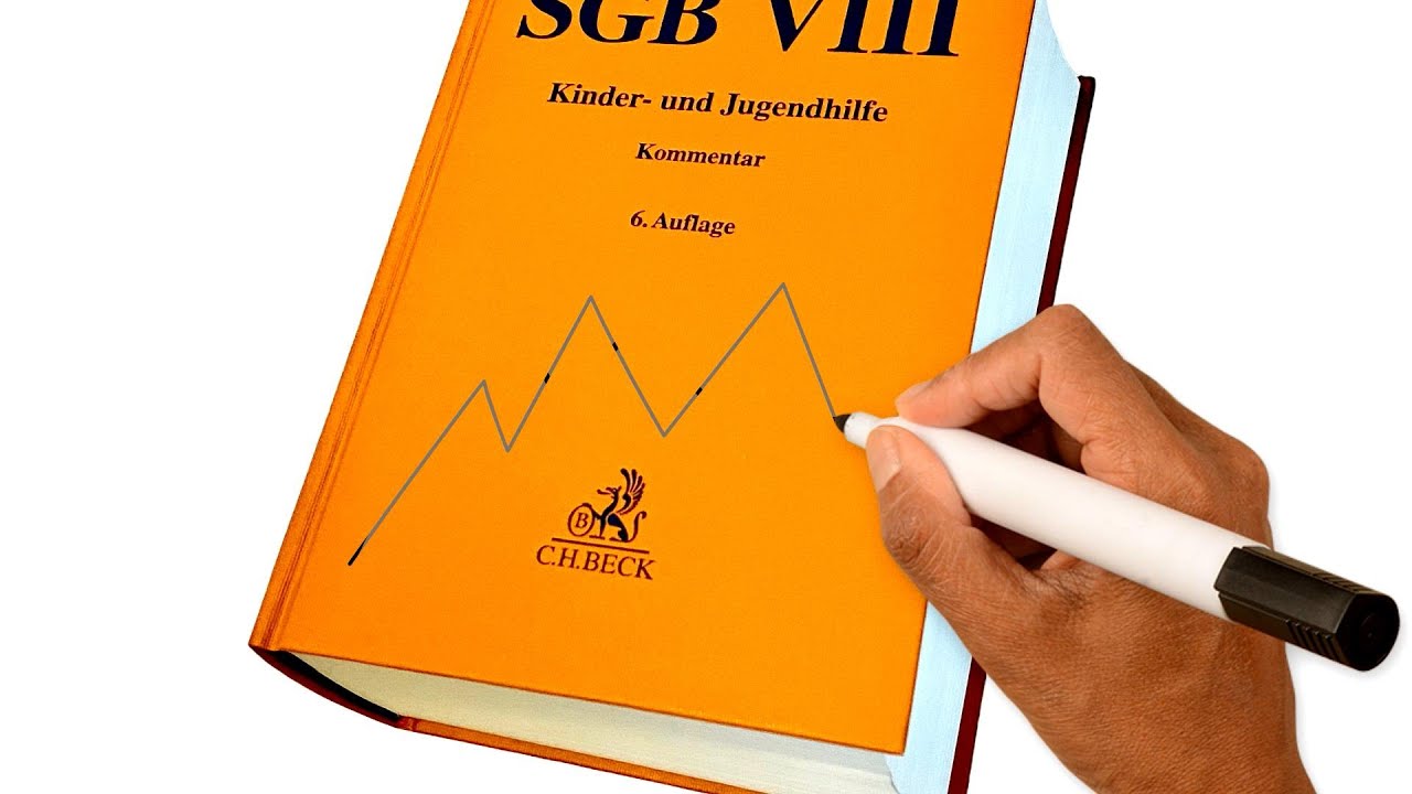 AUS DER SPUR GEKOMMEN  Die SGB VIII Reform - Folgen f&uuml;r die individualp&auml;dagogische Arbeit