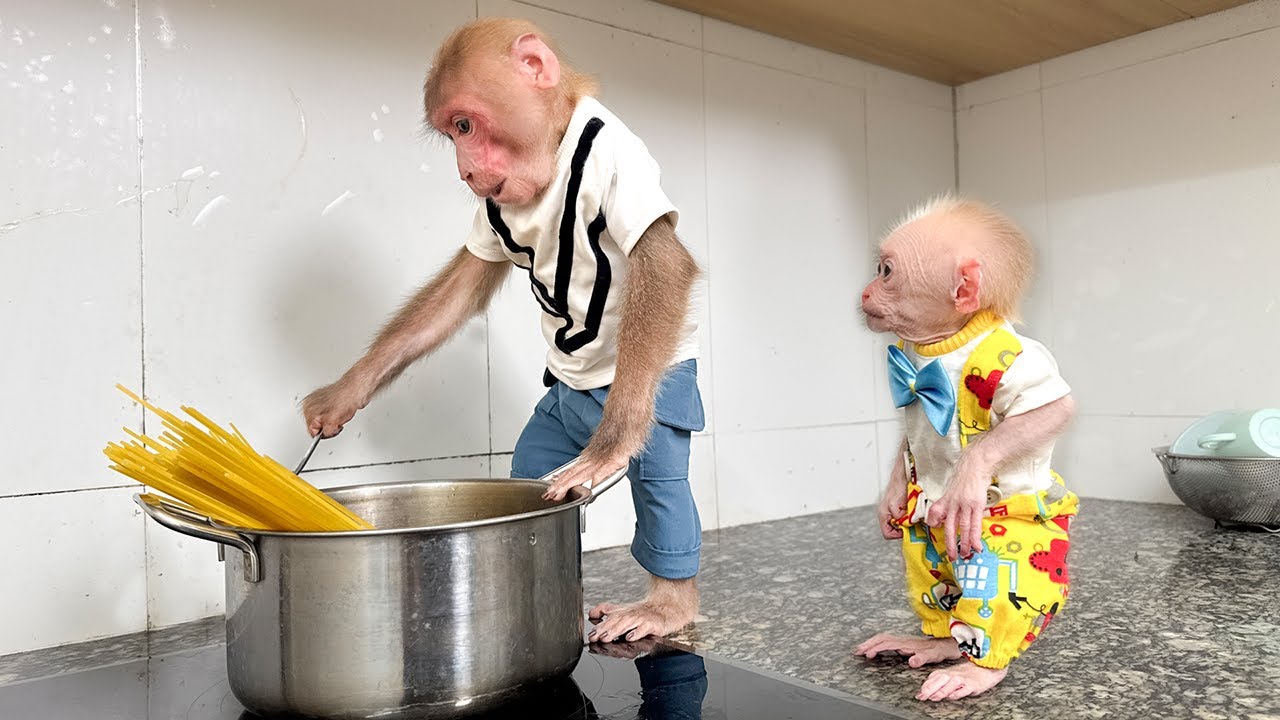 Super Monkey! Bibi cooks spaghetti for Lala making Mom surprised