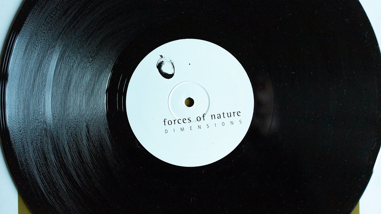 Forces Of Nature - Dimensions (vinyl)