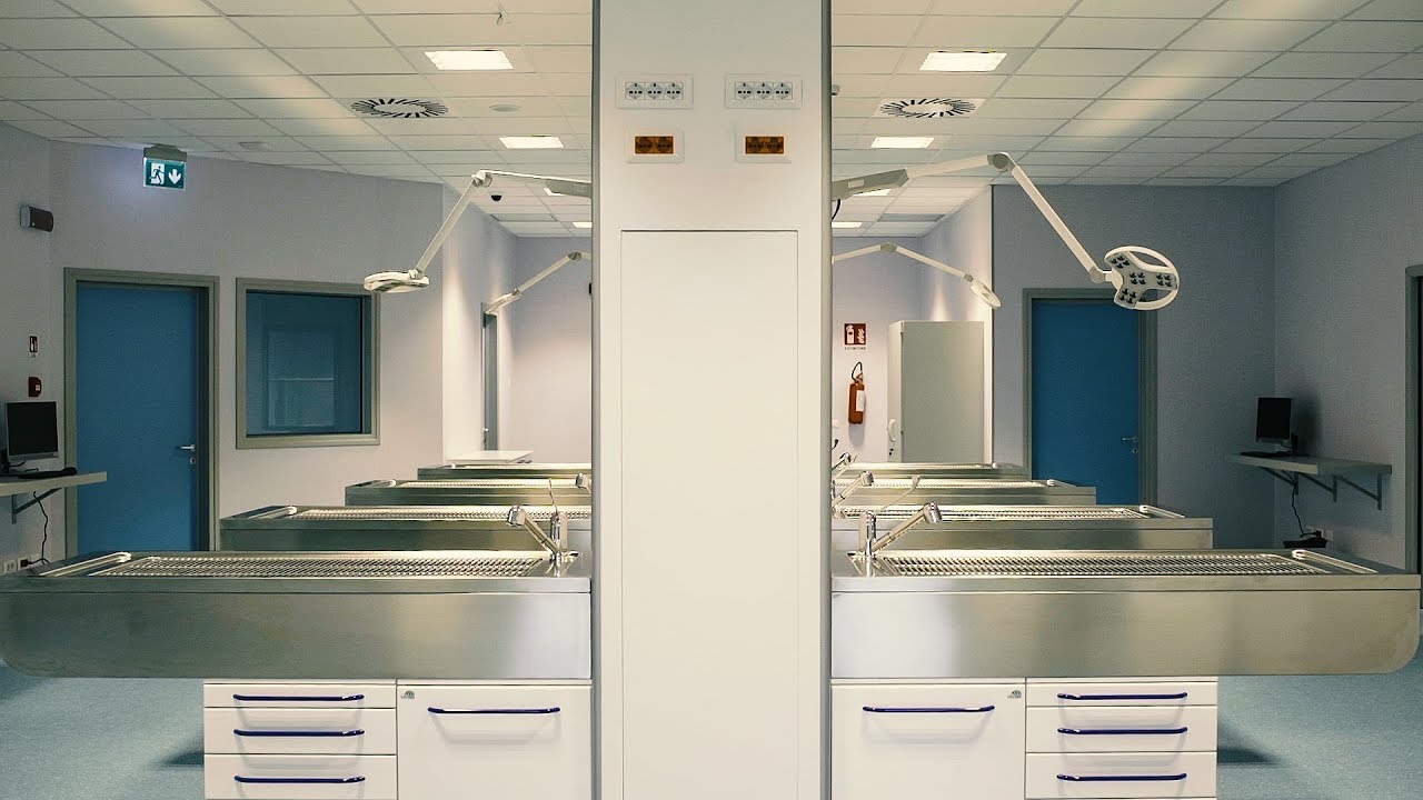 Lory Progetti Veterinari - Clinica Veterinaria San Marco