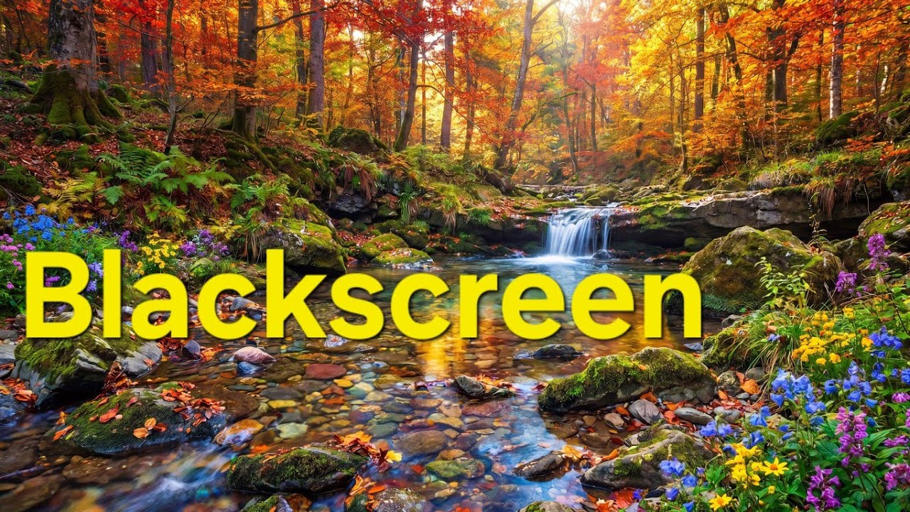3 Stunden Natur-Pur: Das Plätschern eines kleinen Baches (Blackscreen)