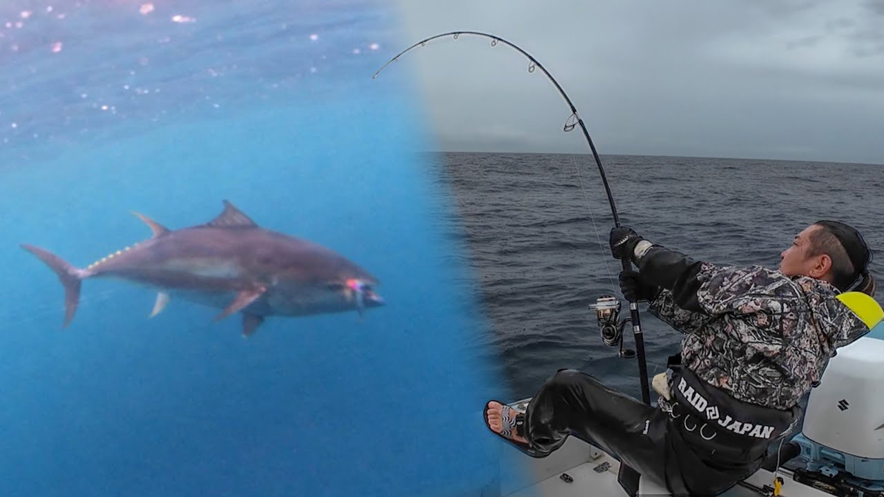#3/4 黒マグロを追って北海道 ーBLUE CONVOYー