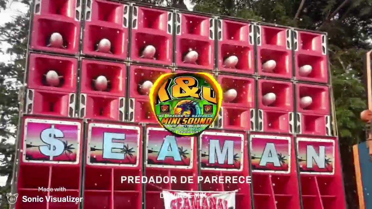 PREDADOR DE PARERECE ( DJ VINCE MIX ) remix