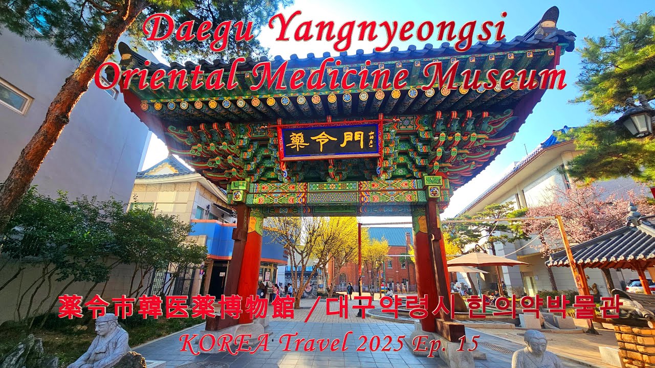 KOREA Travel - Daegu Yangnyeongsi Oriental Medicine Museum | 大邱薬令市韓医薬博物館 | 2025 - Ep.15 |韓国旅行🇰🇷 | 4K
