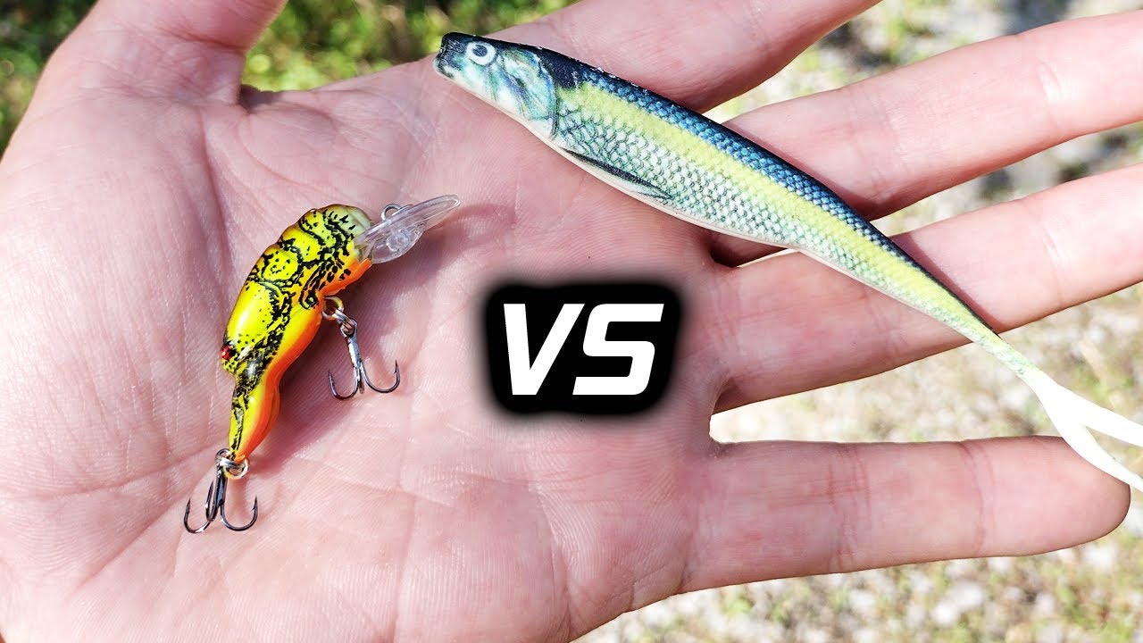 Bass Fishing with Crankbaits and Flukes - $1 CRANKBAIT vs BioBait DNA
