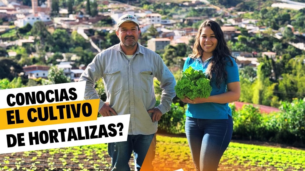 EL CULTIVO DE HORTALIZAS EN COLOMBIA PARA EL MUNDO