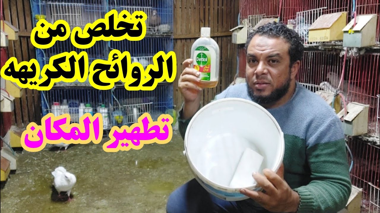 تخلص نهائي من الروائح الكريهه في عشة الحمام عندك هتشوف الفرق بنفسك تطهير وتنظيف المكان