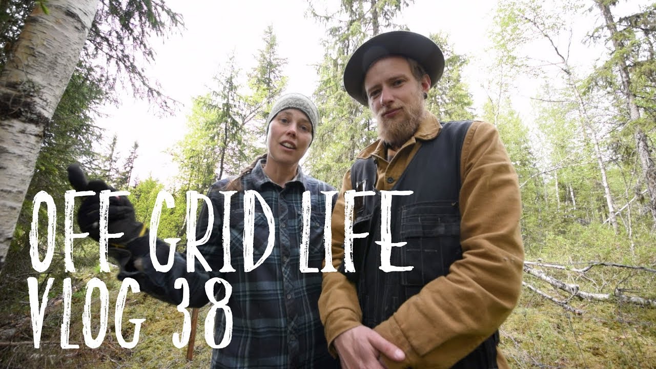 Off Grid Life | Pulled Pork and building with Timber