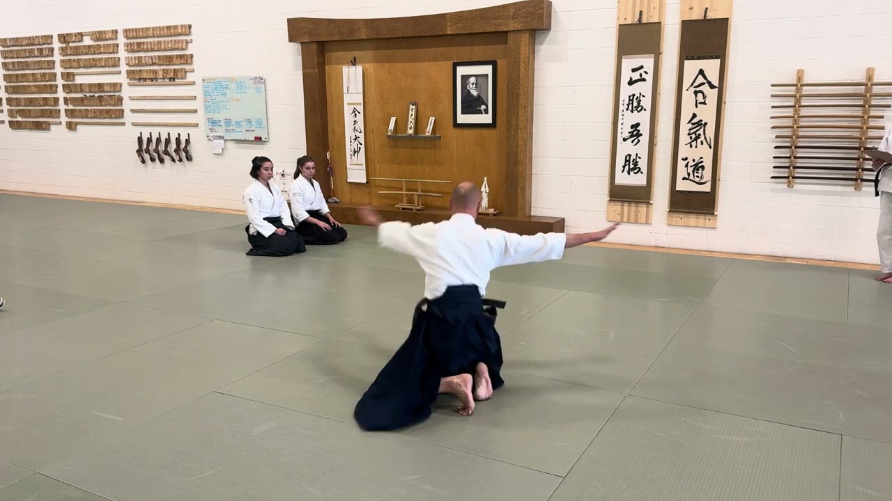 BigRock Aikikai curriculum to Adv Brown