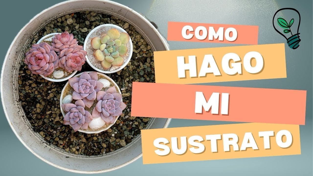 Te comparto como hago mi sustrato