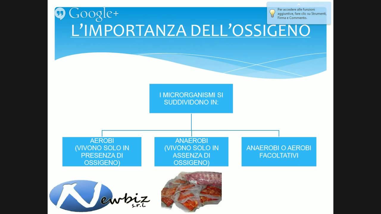 Corso HACCP PRIMO LIVELLO