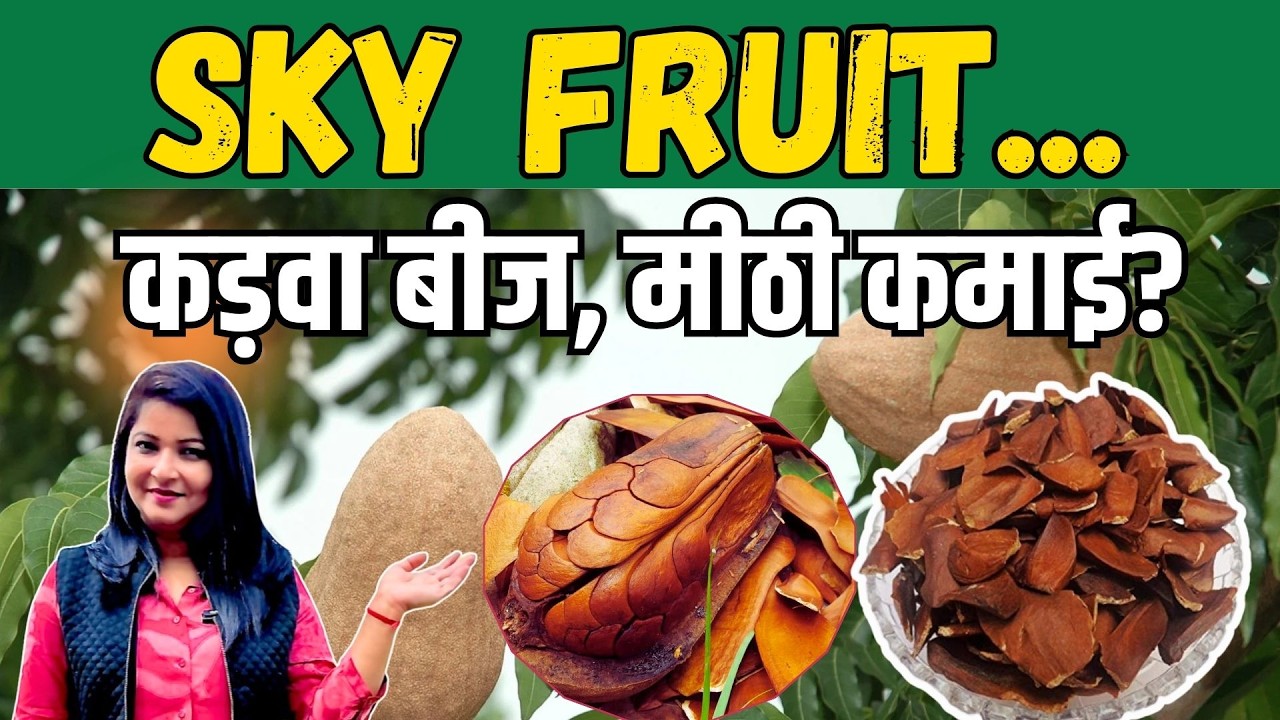 Sky Fruit कड़वा बीज, मीठी कमाई ! I Anju Singh I Kadwa Badam