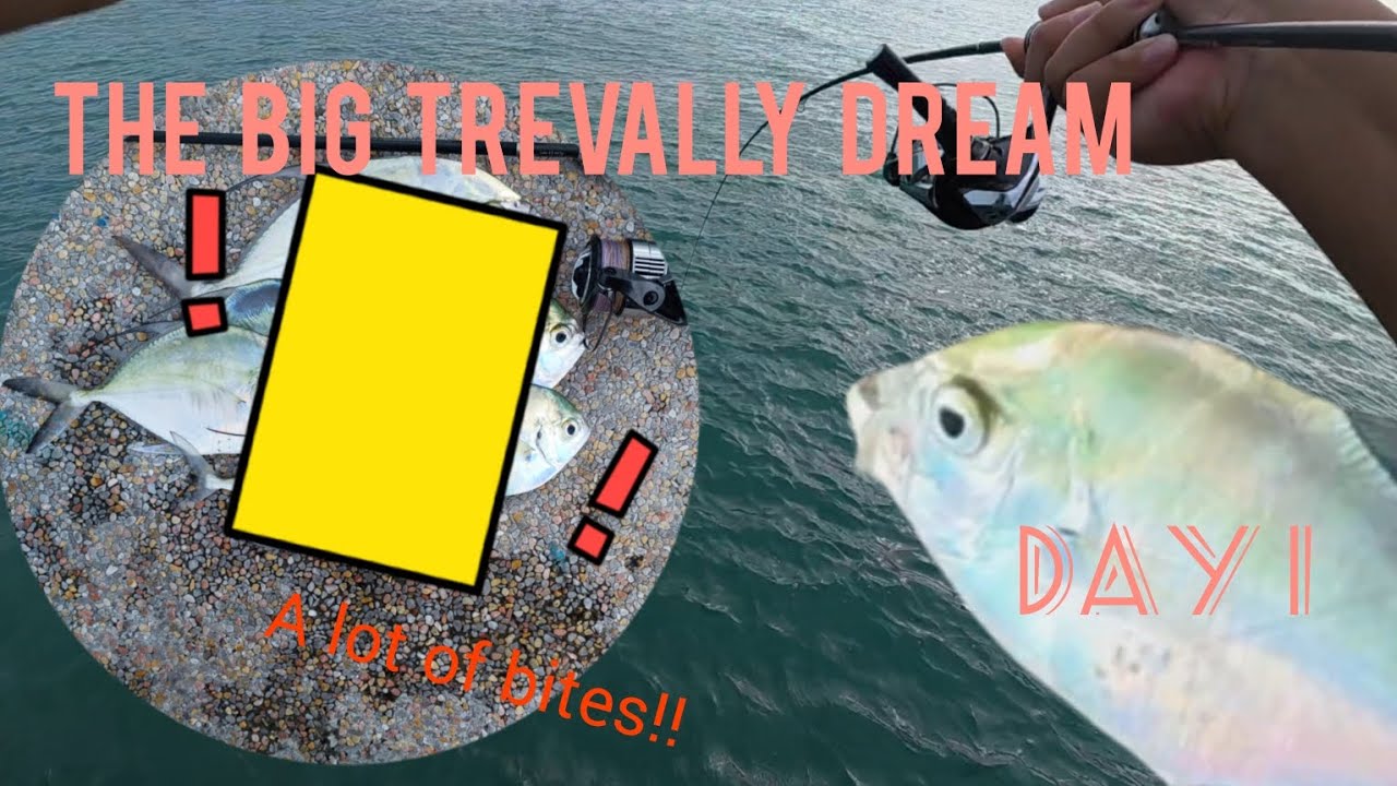 Day 1: The hunt for big pelagics - trevally frenzy  near the jetty?! | Singapore Fishing |