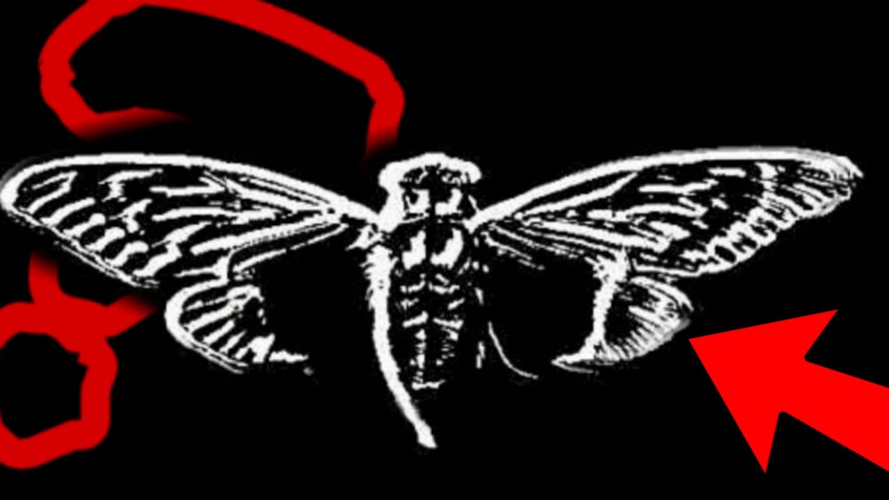 CZYM JEST CICADA 3301? ||Mondar X