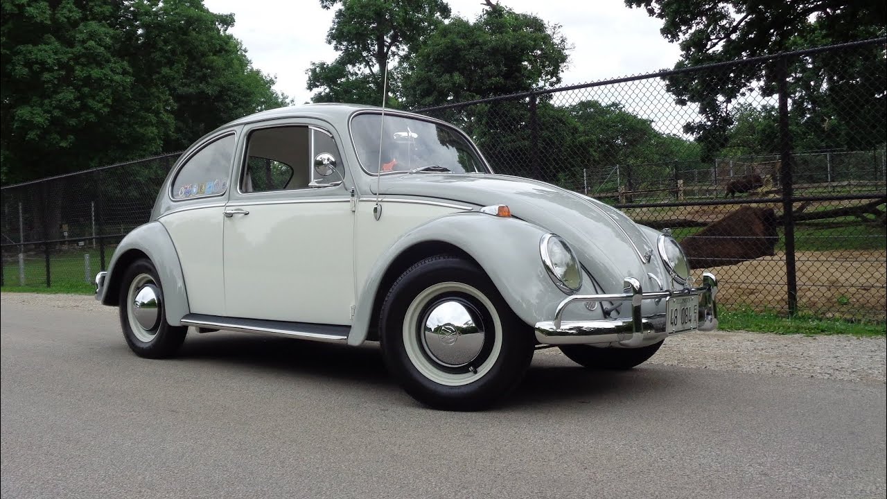 Beetle & Bison ! 1965 Volkswagen VW Bug & Ride on My Car Story with Lou Costabile