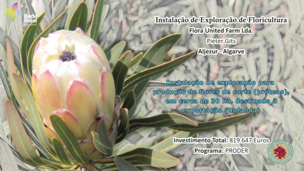 Flora United Farm LDA (Portugal)