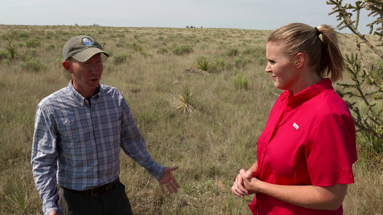 Northwest Oklahoma's Rich Plant Diversity