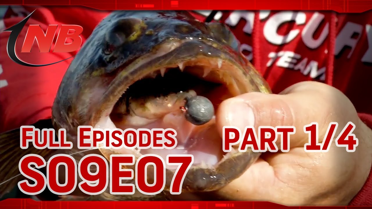 (Part 1/4) Jigging Structure for Fall Green Bay Walleyes