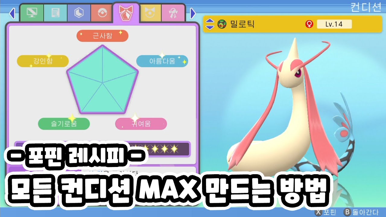 [브다샤펄] 컨디션 만렙 찍는 포핀 레시피