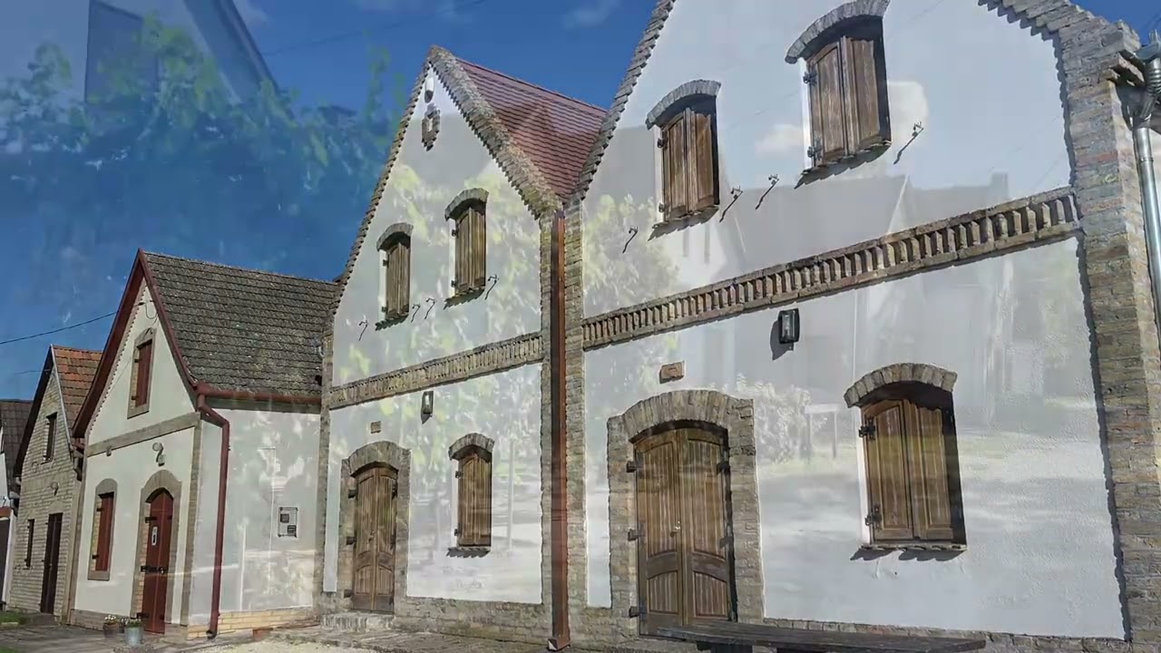 Hajós pincefalu