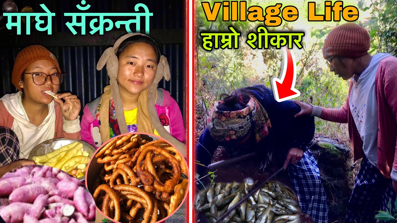 Wild Yam Hunting and Eating ! Festival Celebration in Mountain Village 