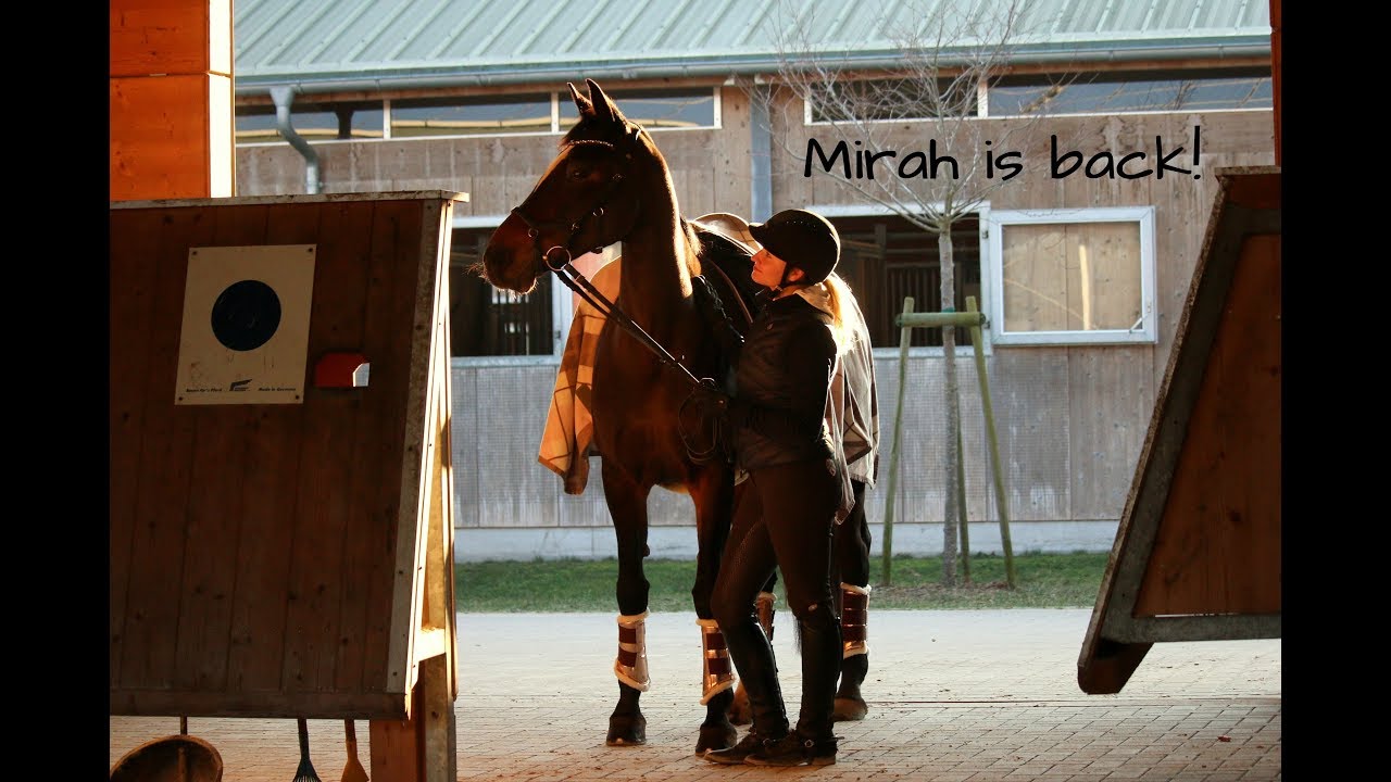 Mirah is back! - short music FMA