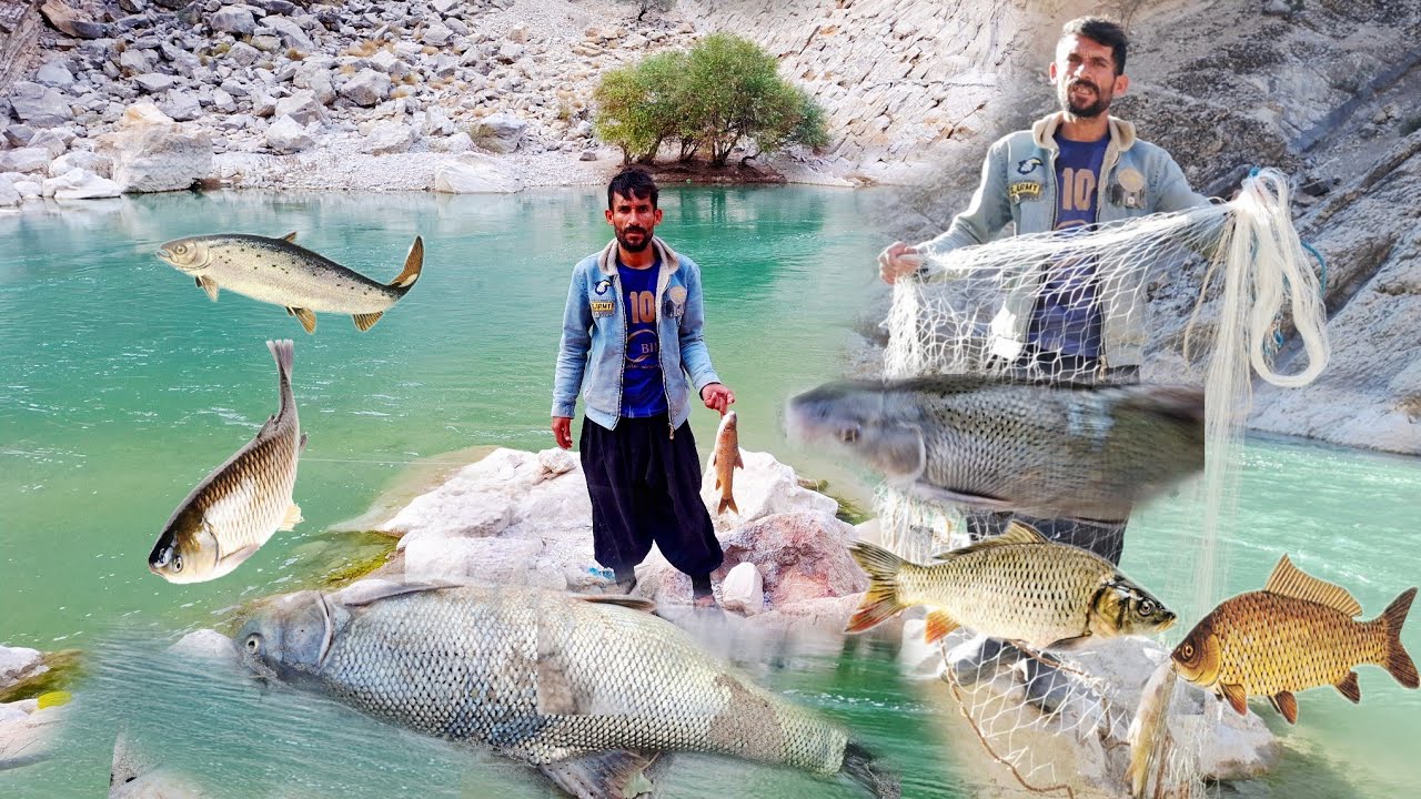 🎣Daily life of nomads: Catching delicious fish in Khorasan🏕 🍃