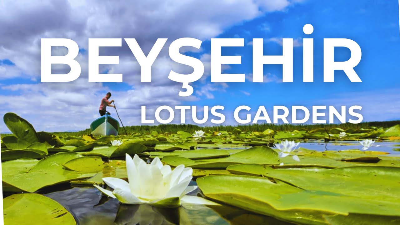 Beyşehir Lake | Lotus Gardens | Konya - T&uuml;rkiye