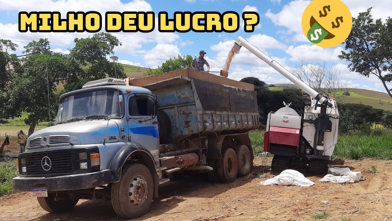 Quanto ganhei com a venda do milho || Lucro de 2 hectares