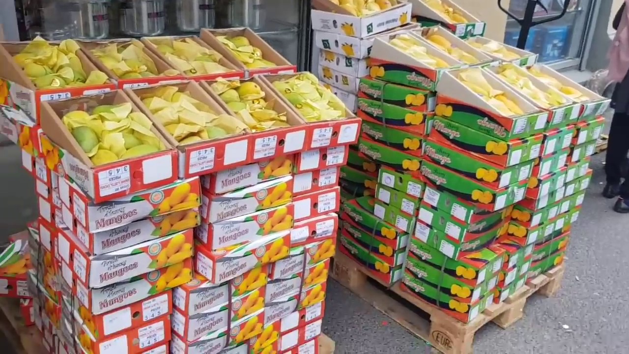 Mini Pakistan in Norway Vlogg