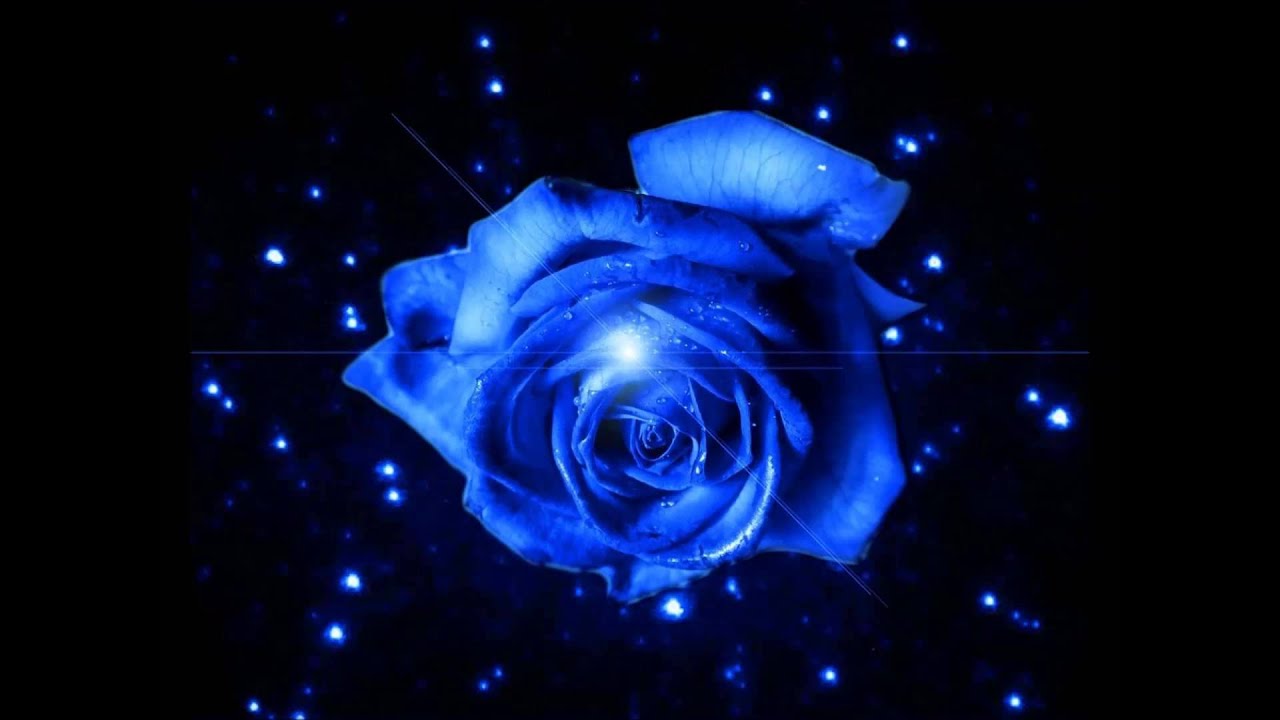 太鼓の達人　Blue Rose Ruin 音源
