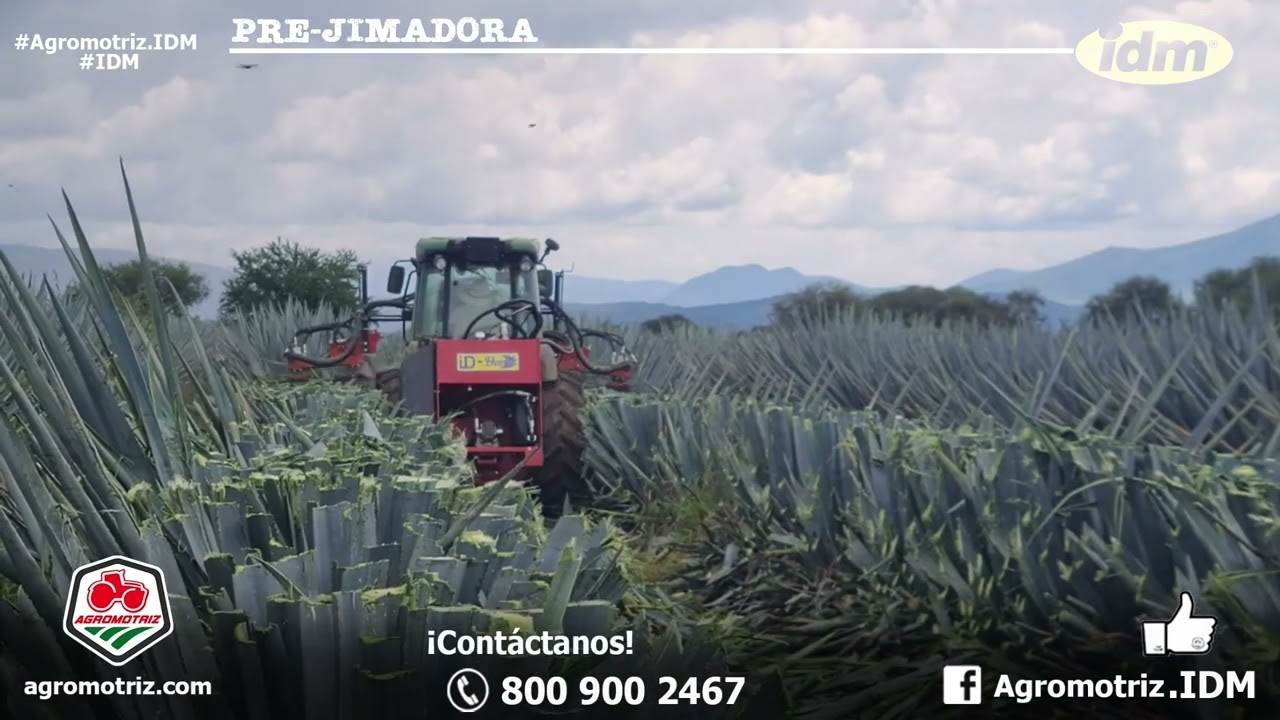 PRE JIMADORA DE AGAVE PARA TRACTOR
