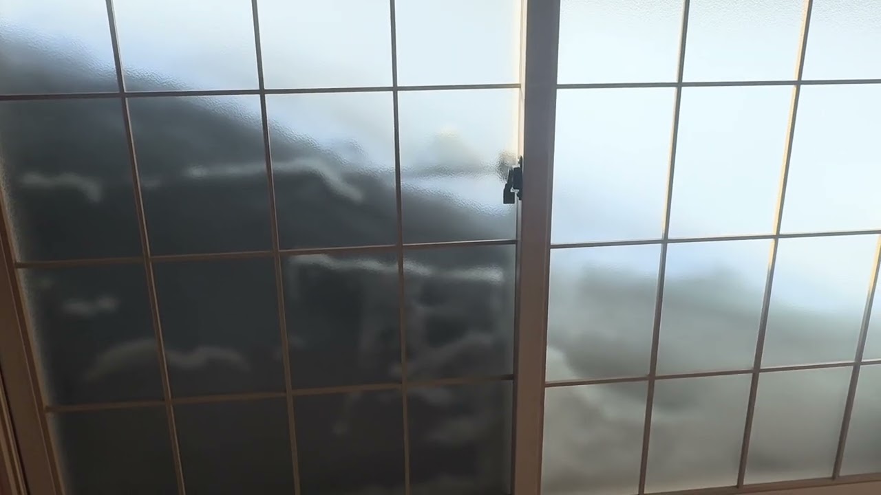 青森の今年の雪の多さがわかる2