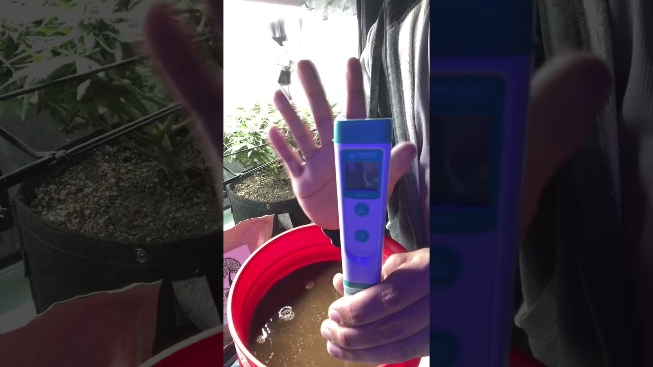 How to use insect Frass