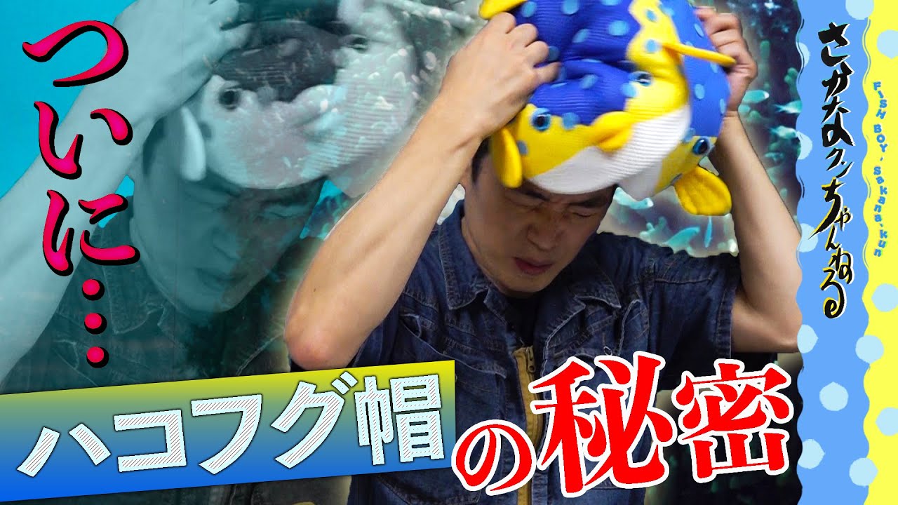 【解禁】さかなクンの本体(？)ハコフグ帽の秘密を公開します！！