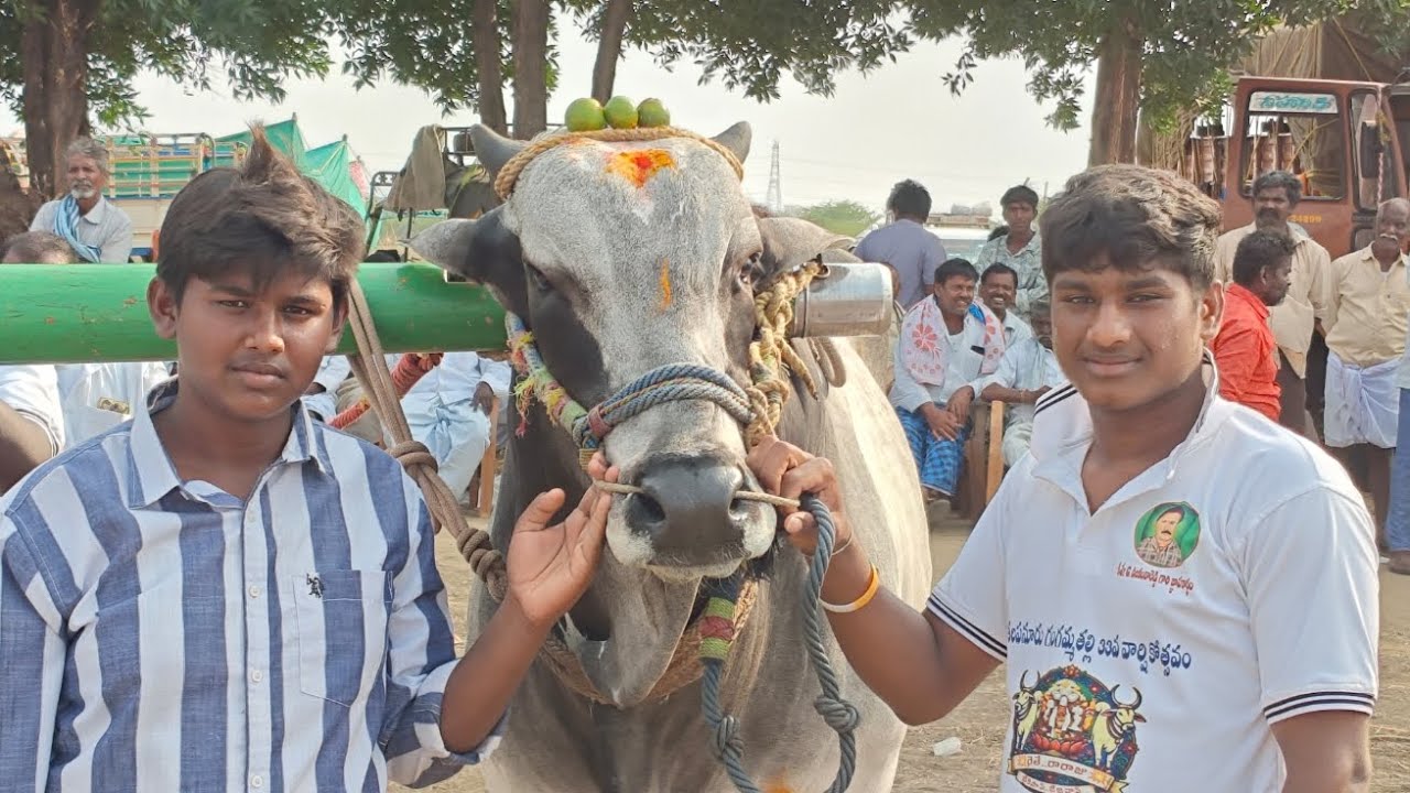 తలపనూరు 6పల్లలో,12వ జత,