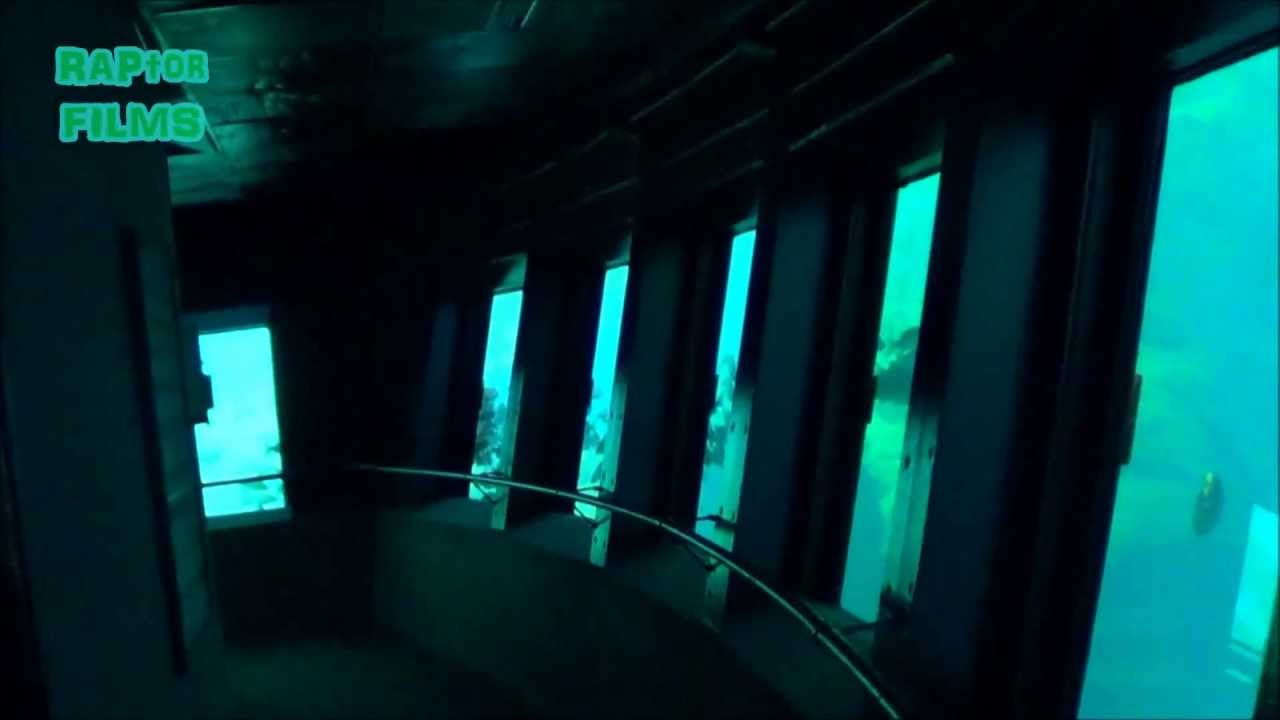 Homosassa Springs, Florida  Underwater Observatory....Just Awesome!