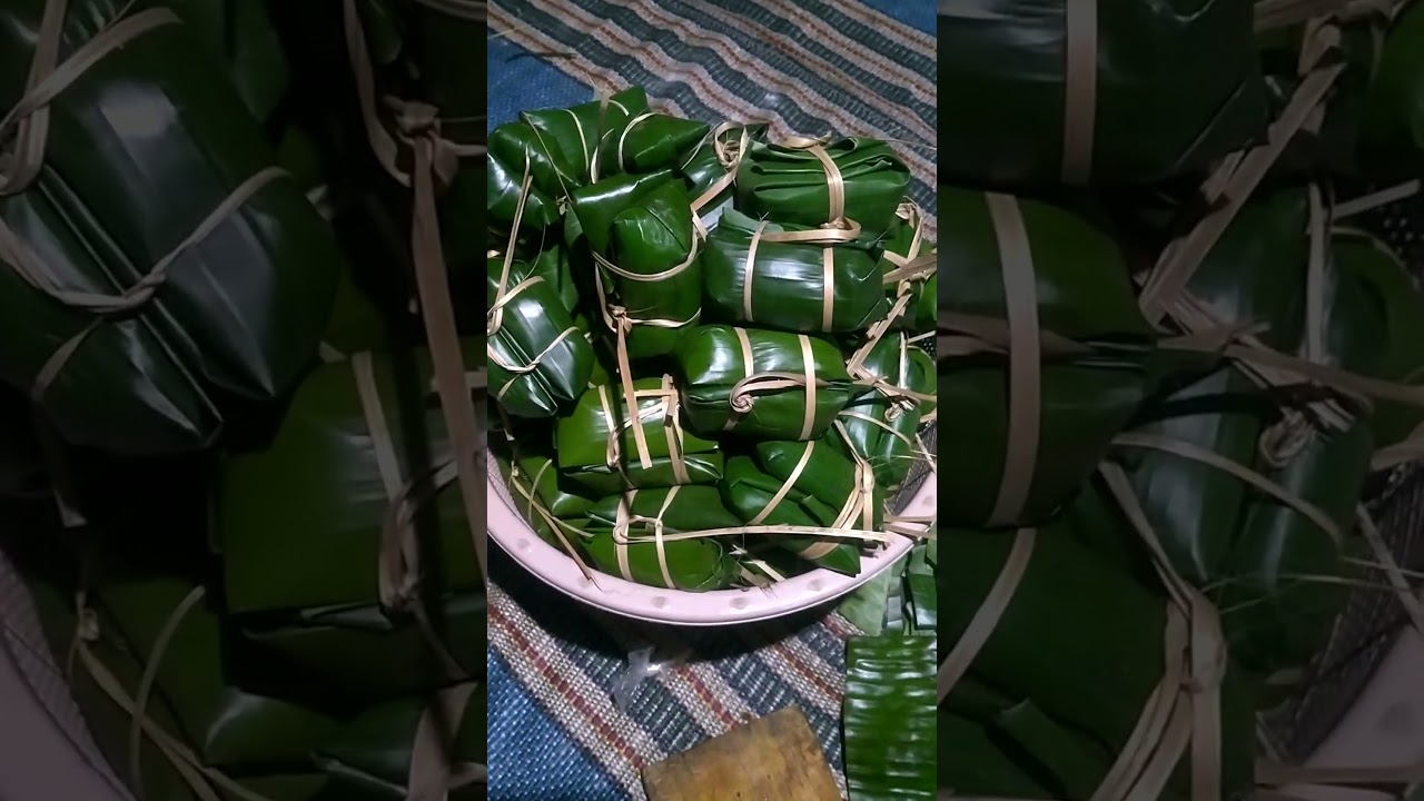 Meat Stuffed Sticky Rice Dumpling Wrapped in Bamboo Leaves