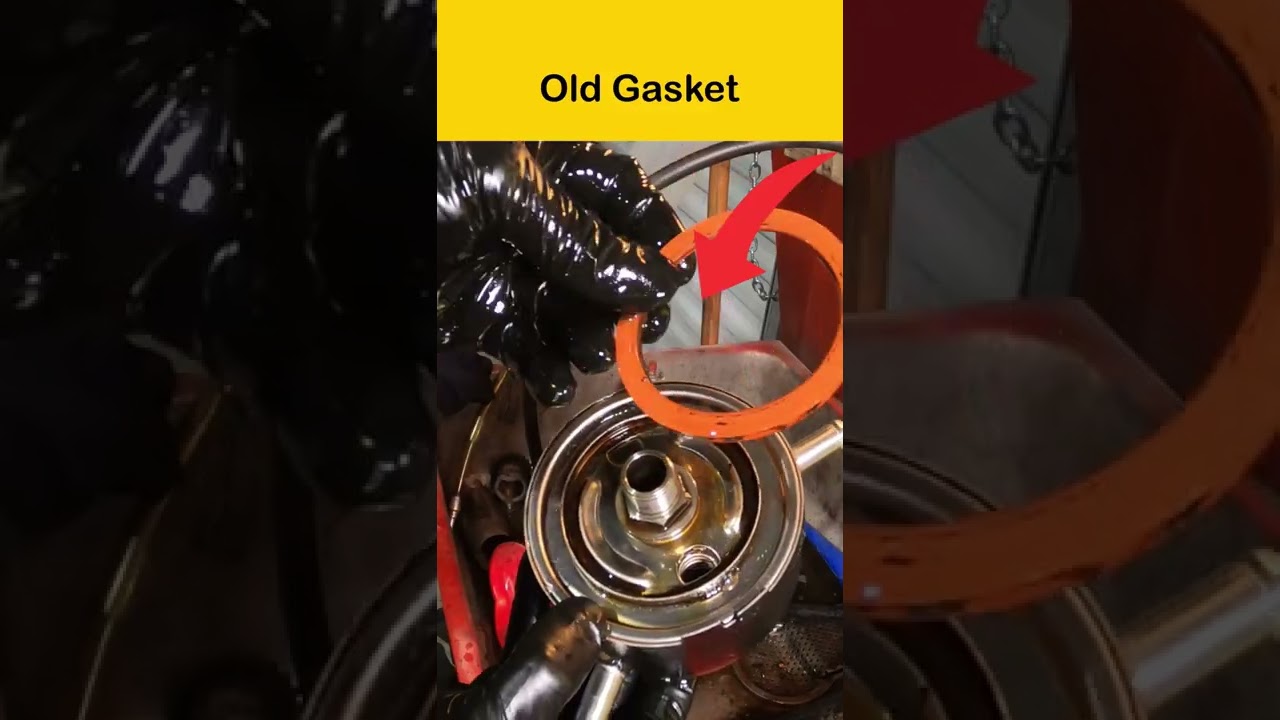 Pathfinder 3rd Generation Oil Leak Repair 