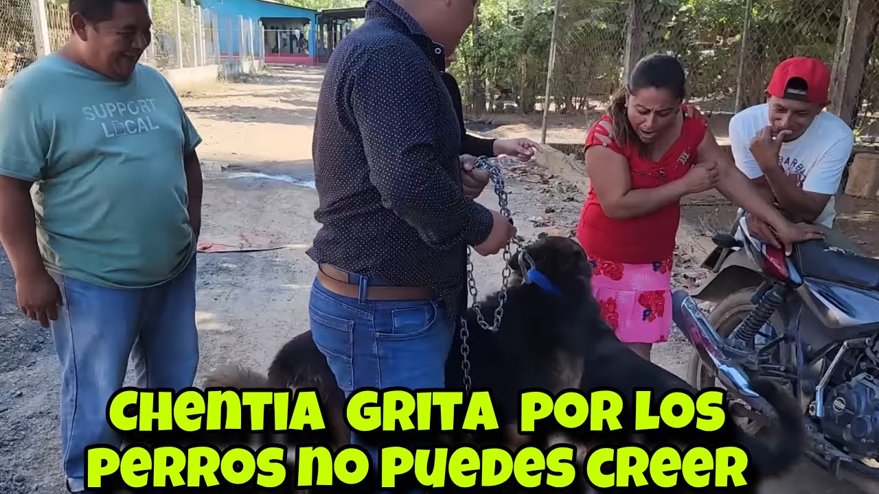 No puedes creer chentia sale huyendo Romario le hecha los perros/ en pleno video