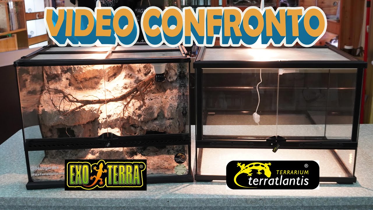 EXOTERRA VS TERRATLANTIS - VIDEO CONFRONTO - RETTILI - TERRARIO - BASSI GARDEN