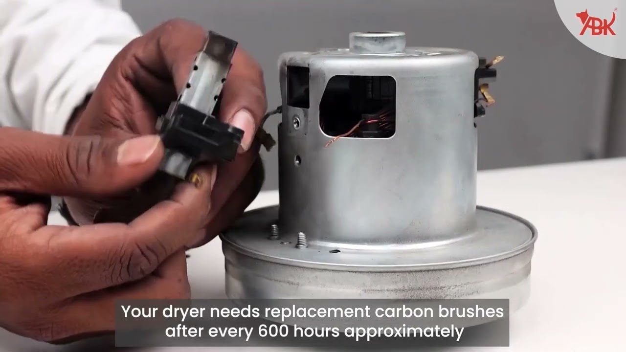 Effective Dog Hair Dryer Maintenance Tips and Techniques