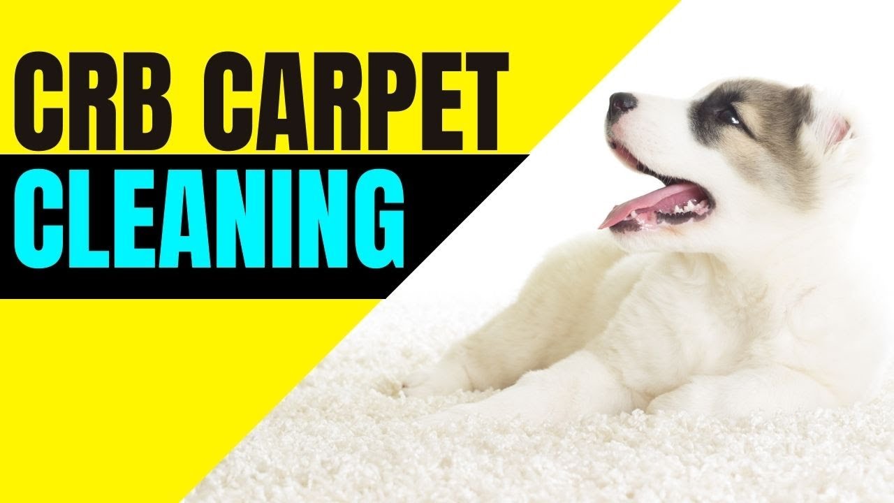 💰 CRB CARPET CLEANING - 8 COOL WAYS TO MAKE MONEY // For professional carpet cleaners! //